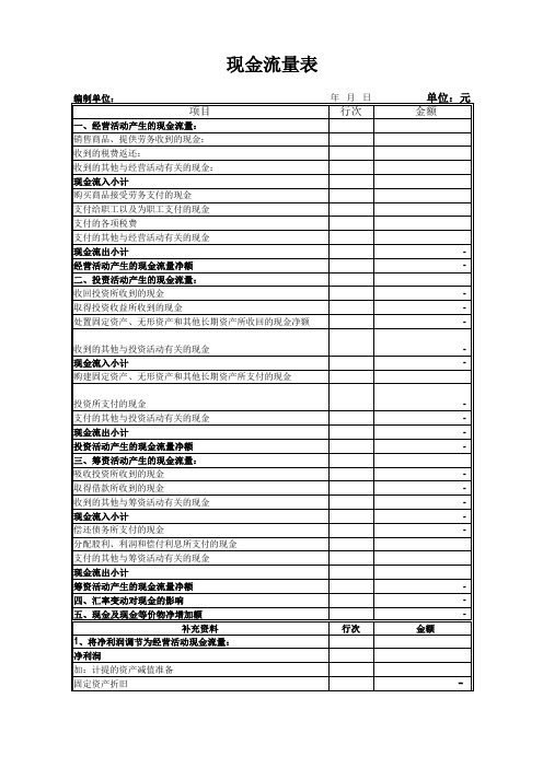 现金流量表模板2021