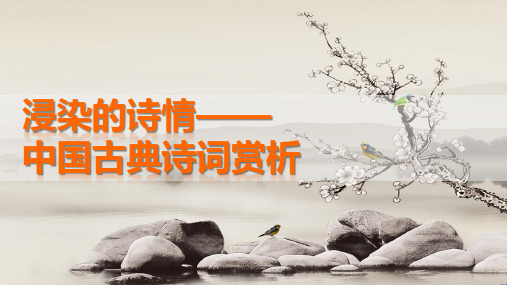 中国古典诗词赏析 宽阔的胸怀(第三篇)