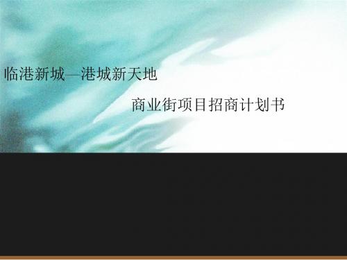 房地产品牌临港新天地商业街项目招商融资计划策划方案