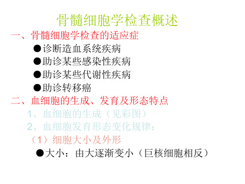 骨髓细胞学检查概述