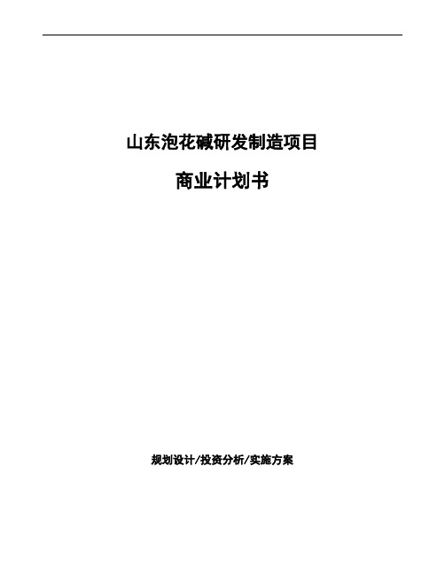 山东泡花碱研发制造项目商业计划书