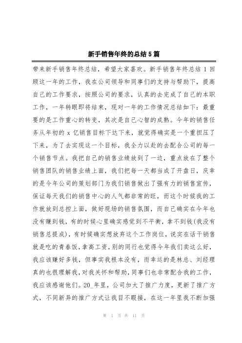 新手销售年终的总结5篇