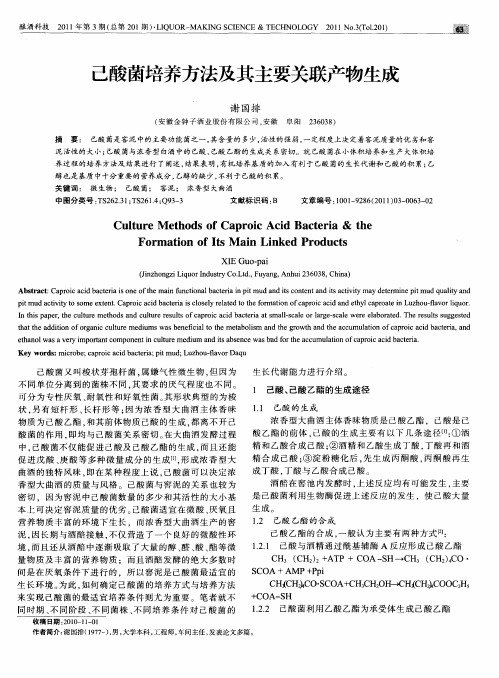 己酸菌培养方法及其主要关联产物生成