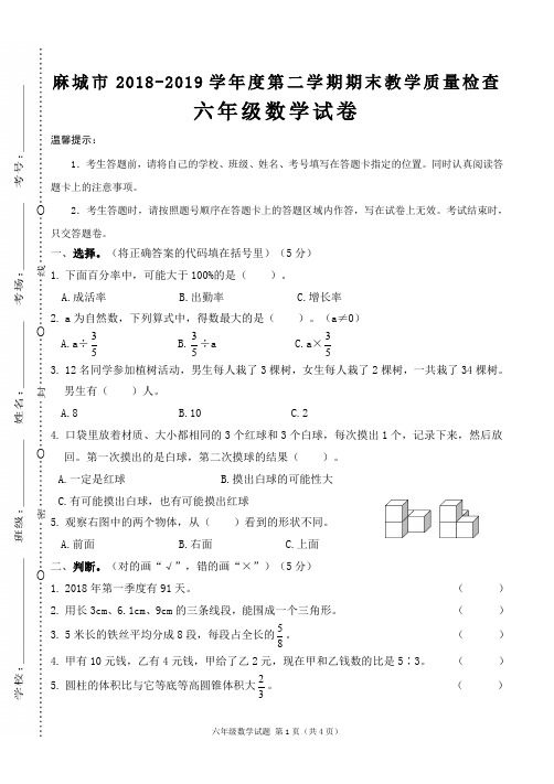 2018-2019学年度第二学期期末教学质量检查六年级数学试卷(湖北麻城市)