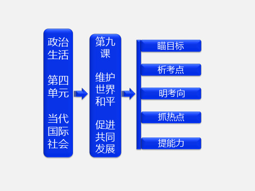 高考政治 一轮复习 第第九课 维护世界和平 促进共同发展