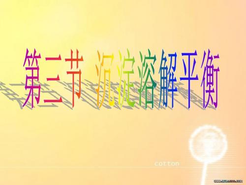 沉淀溶解平衡公开课