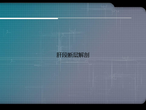 肝段断层解剖演示文档