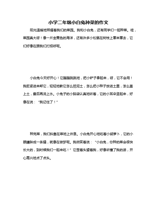 小学二年级小白兔种菜的作文