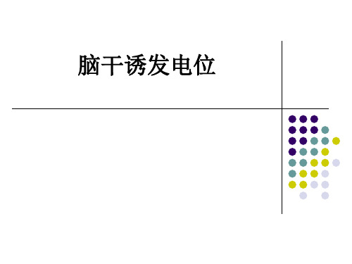 脑干诱发电位ppt课件