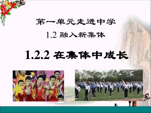 在集体中成长ppt优秀课件3 粤教版