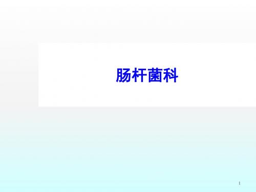 肠杆菌科ppt课件