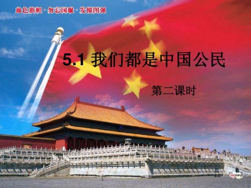5.1 我们都是公民(第二课时)