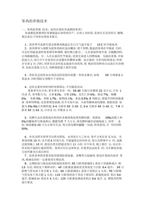 笨鸡的养殖技术