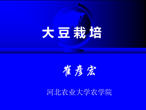 黄豆知识