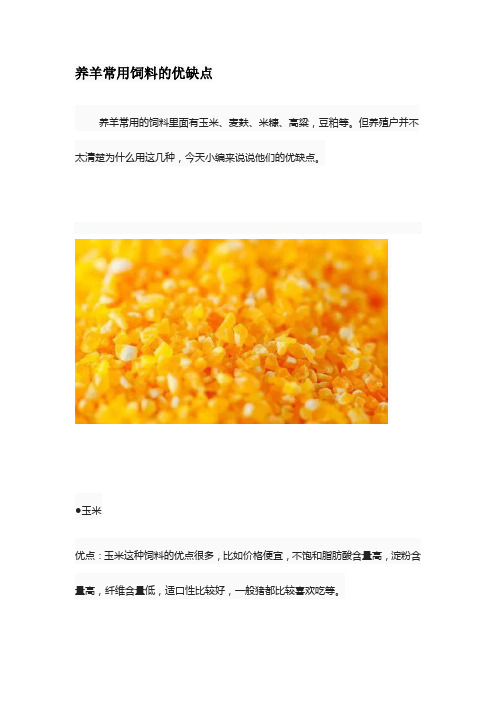 养羊常用饲料的优缺点