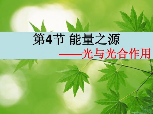 光合作用