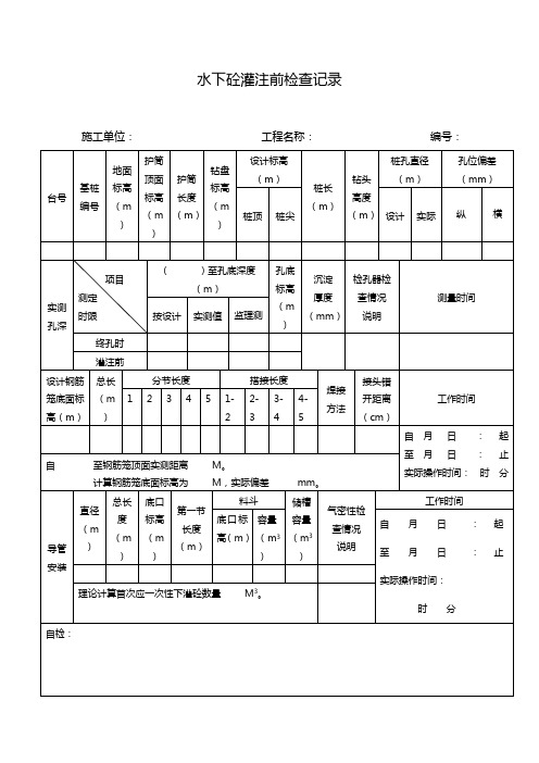 水下砼灌注前检查记录