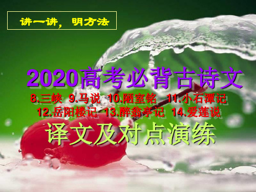2020高考必背古诗文对点演练  三峡  马说  陋室铭   小石潭记  岳阳楼记  醉翁亭记  爱莲说
