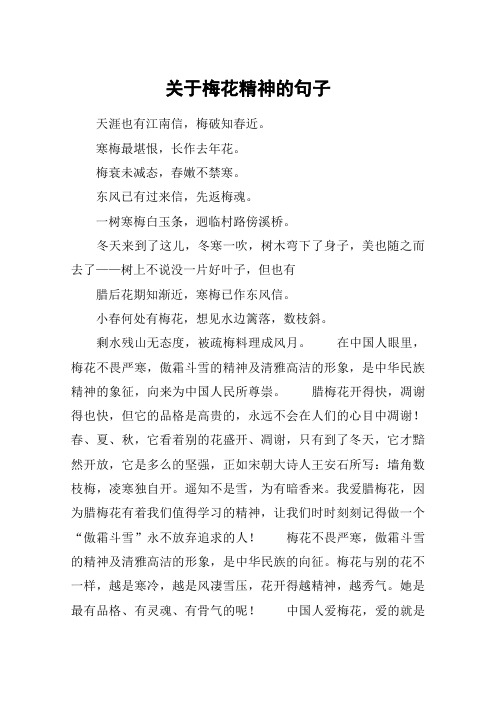 关于梅花精神的句子
