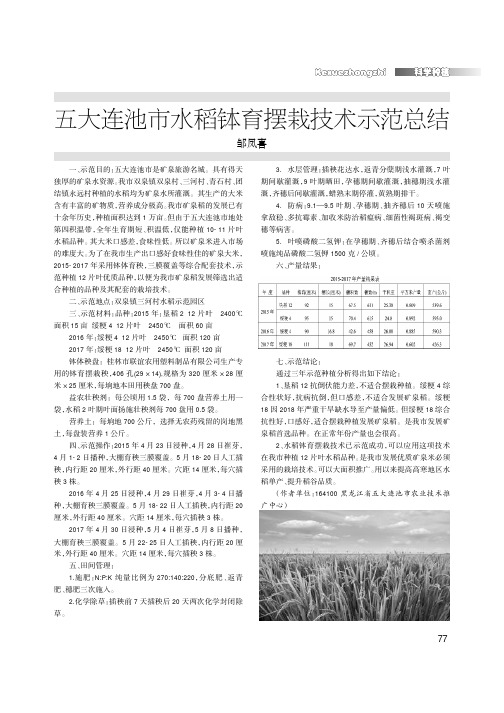 五大连池市水稻钵育摆栽技术示范总结