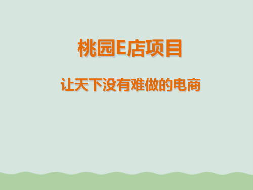 电商招商加盟策划方案(PPT 35页)