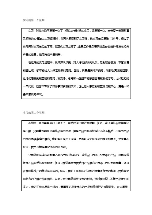 关于网站推广维护的实习周记