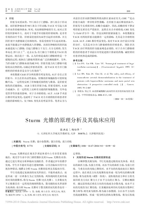 Sturm光锥的原理分析及其临床应用