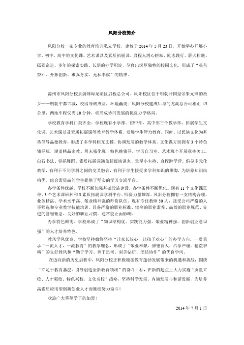 视频材料  文字