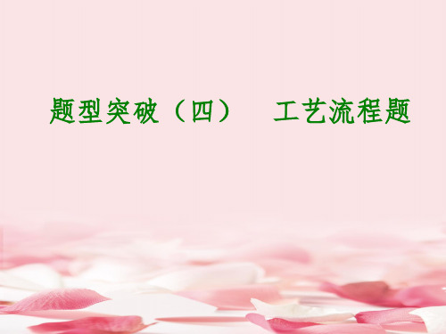 2018届中考化学专题复习：题型突破课件与练习(人教版12套)(6)PPT