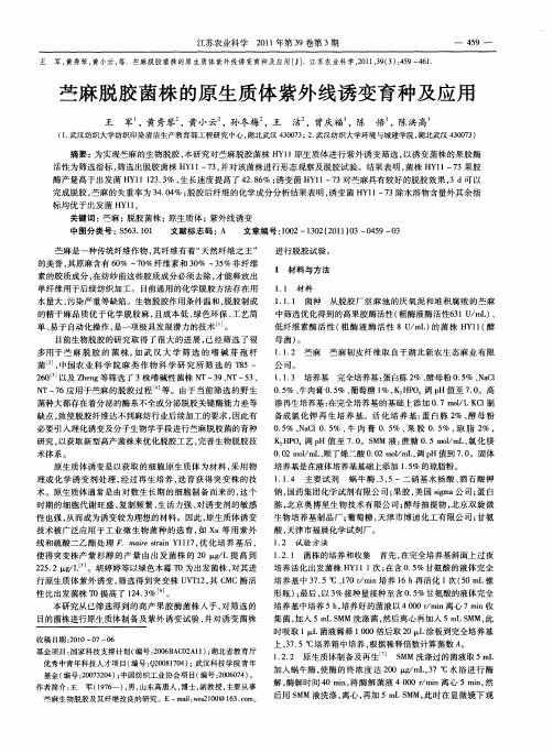 苎麻脱胶菌株的原生质体紫外线诱变育种及应用