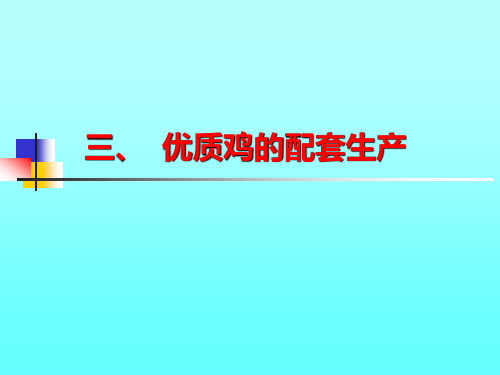 3育种优质鸡