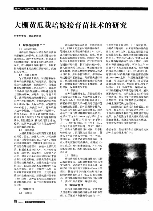 大棚黄瓜栽培嫁接育苗技术的研究