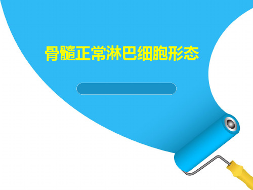 骨髓正常淋巴细胞形态