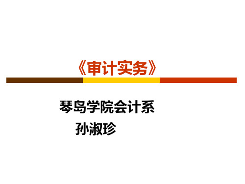 东财 审计第13讲