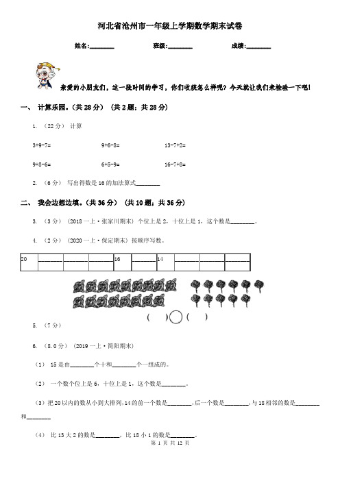 河北省沧州市一年级上学期数学期末试卷