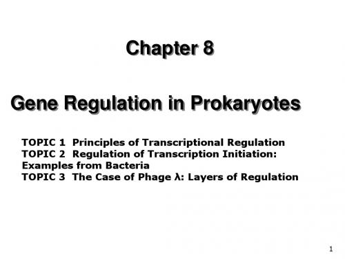 CHAPTER8 regulation in prokaryote