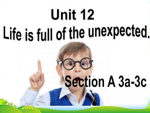 人教部编版九年级全一册Unit 12 Section A 3a—3c课件 (25张)