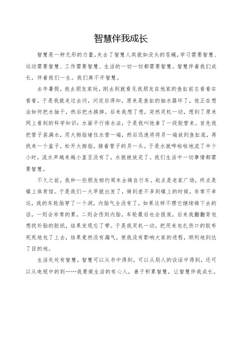 智慧伴我成长3
