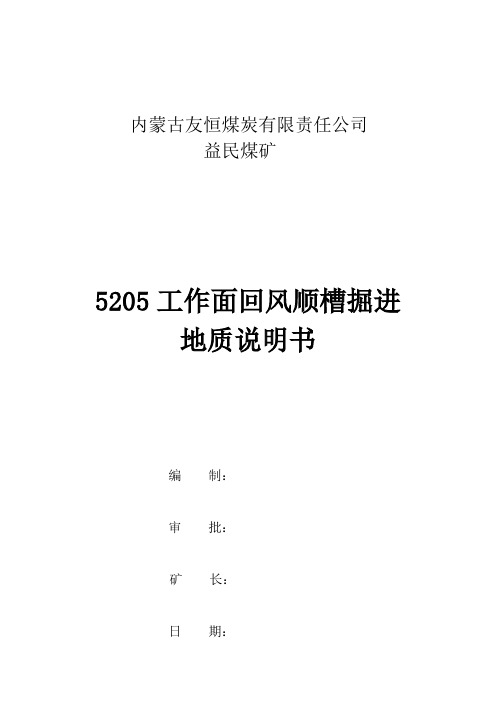 煤矿掘进工作面地质说明书