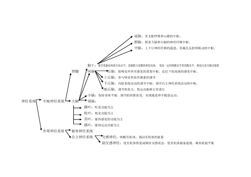 神经系统知识点图表