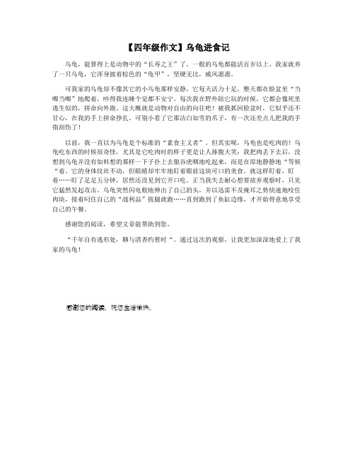 【四年级作文】乌龟进食记