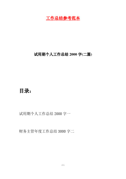 试用期个人工作总结2000字(二篇)