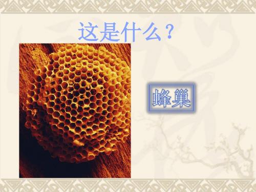 早期国家的形成