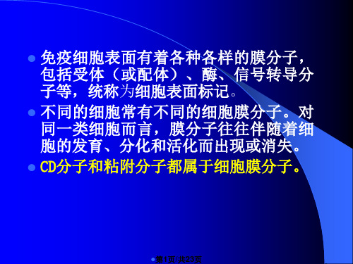 CD分子和黏附分子