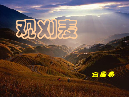 《观刈麦》PPT课件【优秀课件推荐】
