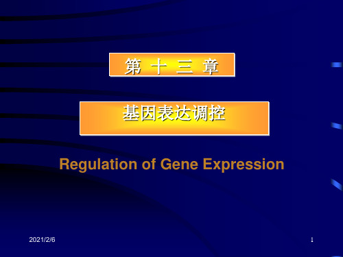 第十三章基因表达调控