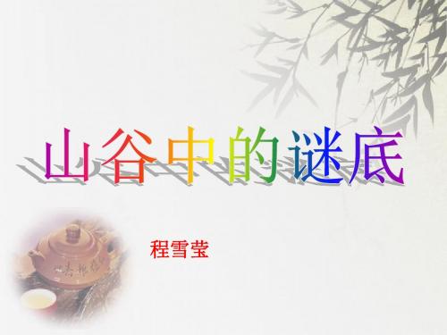 《山谷中的谜底》课件