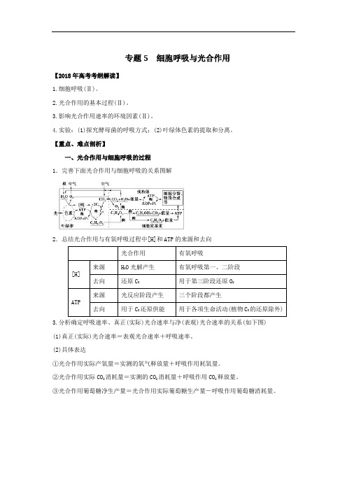 专题05 细胞呼吸与光合作用教学案-2018年高考生物考纲解读与热点难点突破 含解析 精品