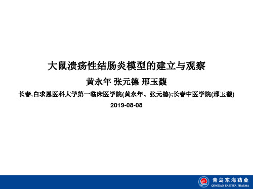 大鼠溃疡性结肠炎模型的建立与观察-PPT课件