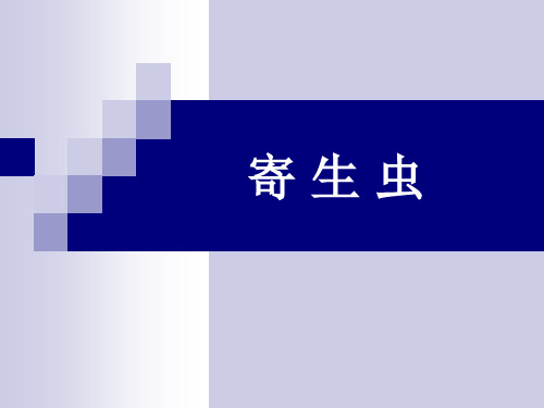 几种常见寄生虫 PPT课件